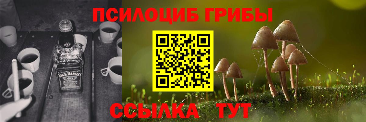 Псилоцибиновые грибы Magic Shrooms  Вход с VPN  Севастополь 